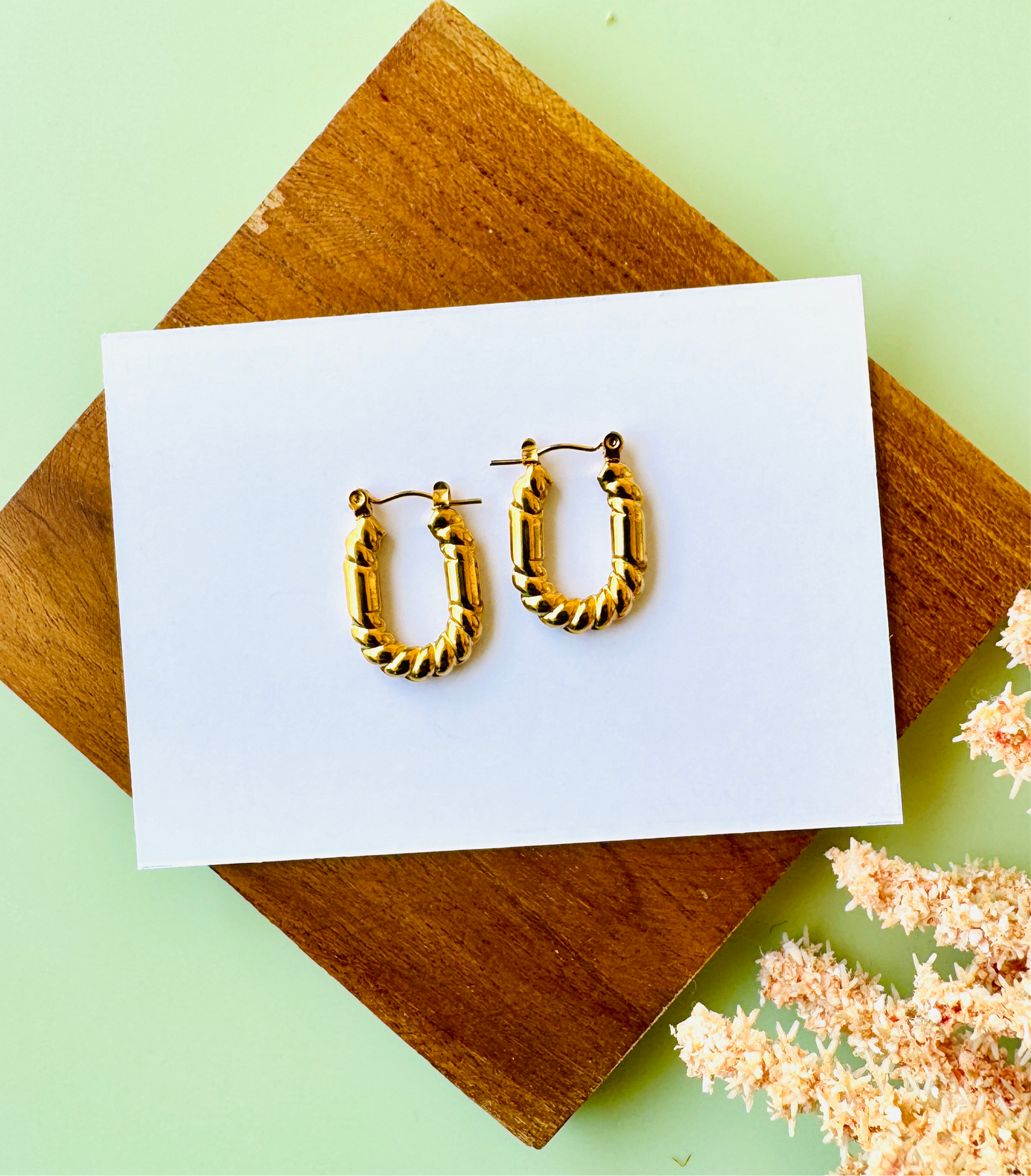 Zosia Hoops